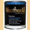 EXTERIOR PAINTS &amp; PRIMERS