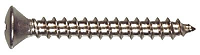 6x2 SS OHPH METAL SCREW