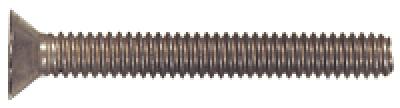 1/4x1/2 SS FHPH MACHINE SCREW