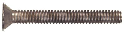 1/4x3 SS FHPH MACHINE SCREW